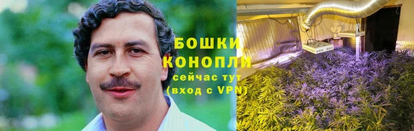 apvp Арсеньев