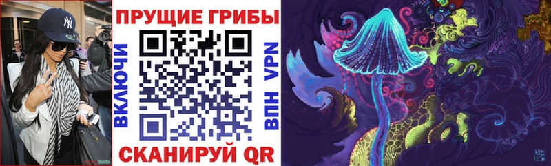 Галлюциногенные грибы Psilocybine cubensis  сколько стоит  Гуково 