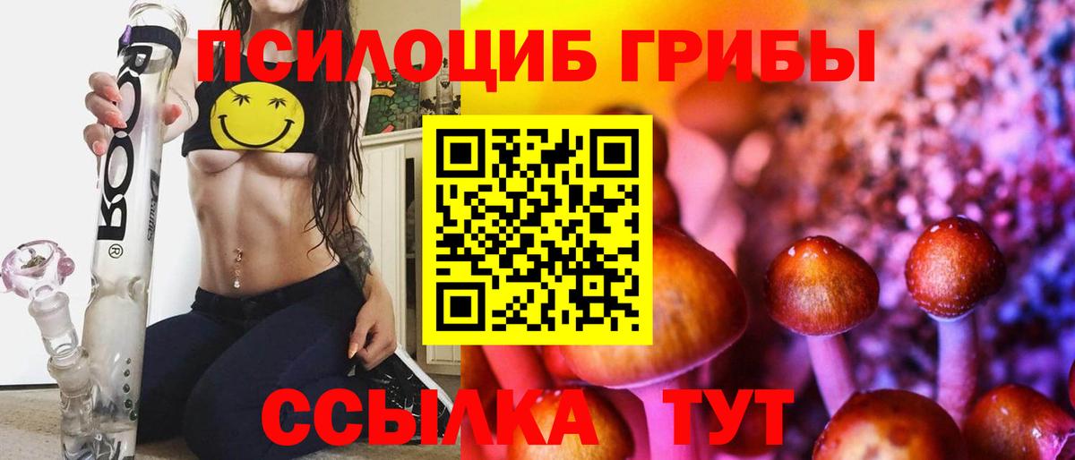 Гуково  Псилоцибиновые грибы Psilocybine cubensis  купить наркотики цена  Вход с VPN 
